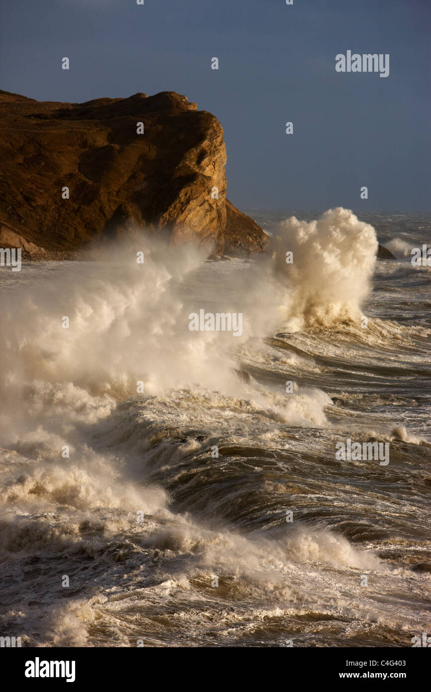 Il mare in tempesta a Man O War Bay, Jurassic Coast, Dorset, Inghilterra Foto Stock