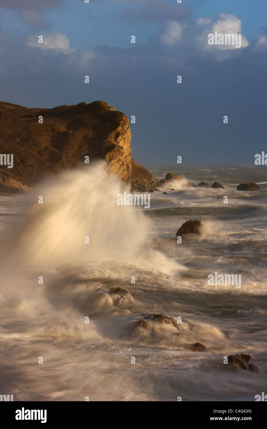 Il mare in tempesta a Man O War Bay, Jurassic Coast, Dorset, Inghilterra Foto Stock
