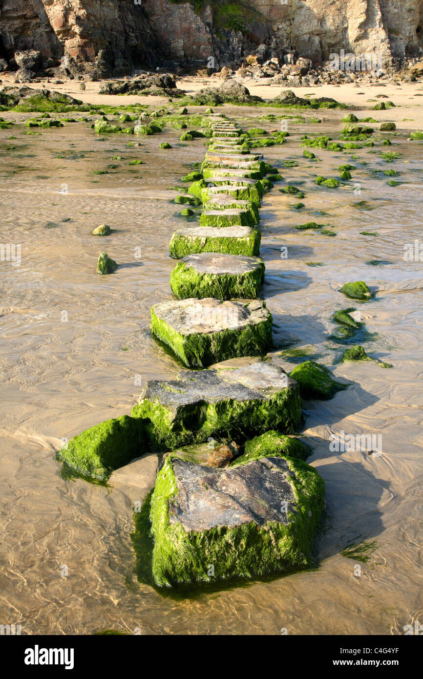 Pietre miliari attraverso un ruscello in Perranporth, Cornwall Regno Unito. Foto Stock