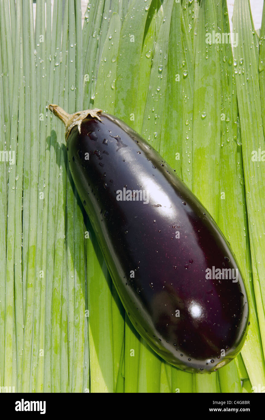 Le melanzane su cipolle verdi e erba cipollina mail sfondo. Foto Stock