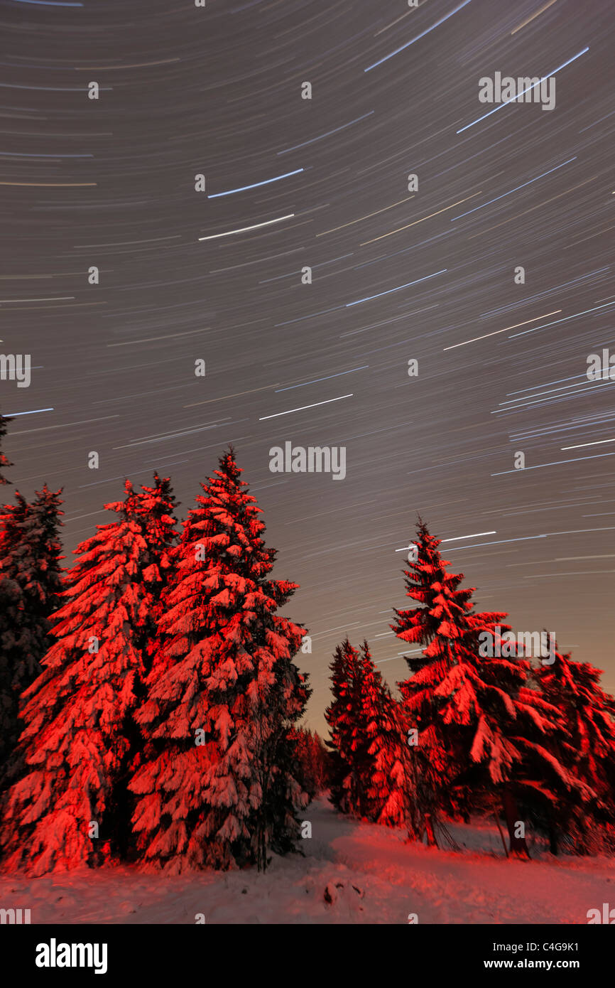 Piste a stella nel cielo invernale, Hohen Meissner National Park, Nord Hessen, Germania Foto Stock