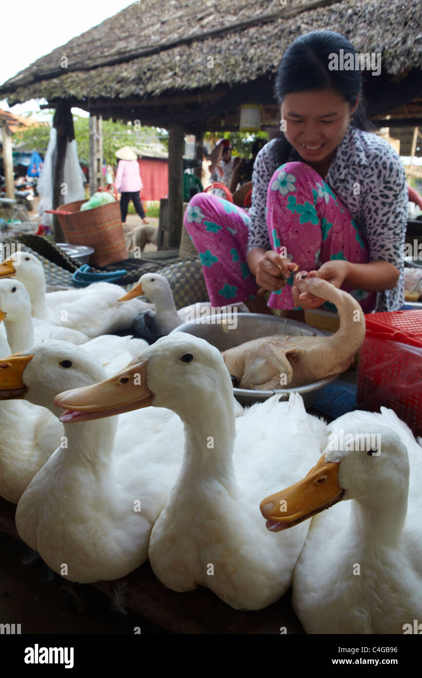 Anatre in vendita nel mercato nr Can Tho, Delta del Mekong, Vietnam Foto Stock