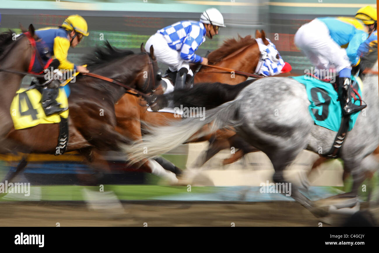 Motion Blur Immagine di corse di cavalli purosangue Foto Stock