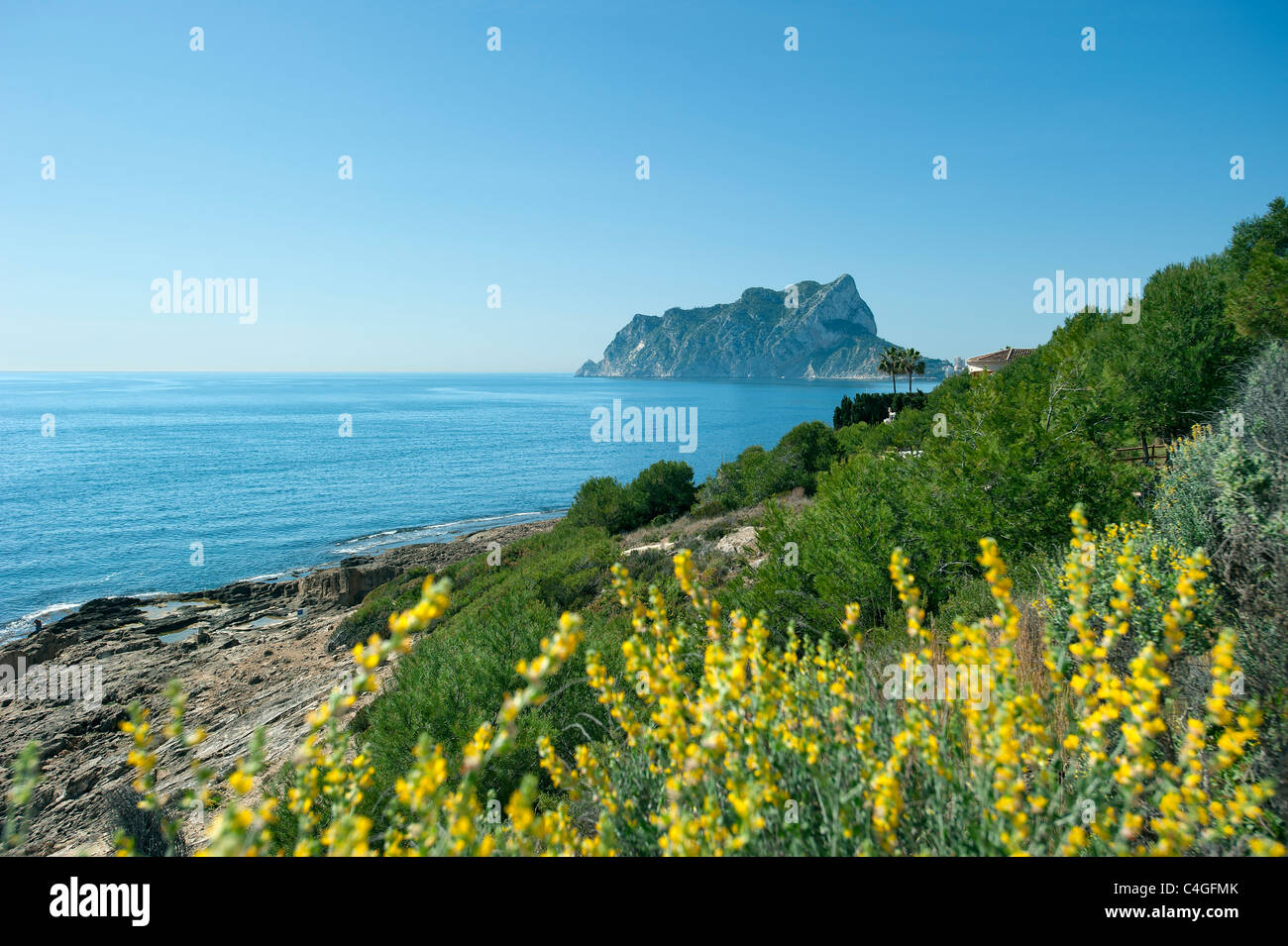 Costa con fiori selvatici, Benissa, Calpe Costa Blanca, Spagna Foto Stock