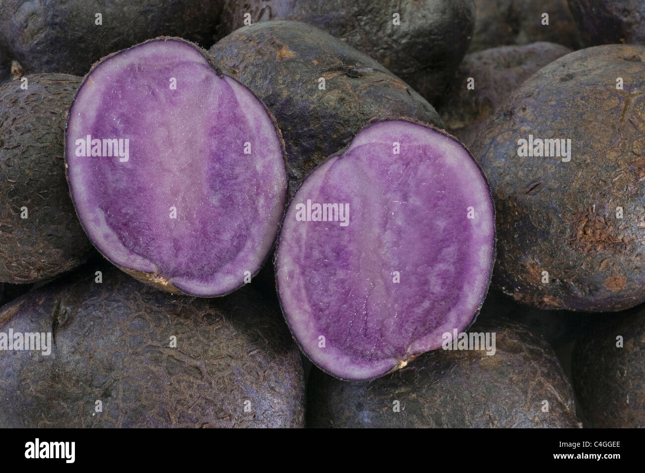 Patata (solanum tuberosum Blu Congo). Close-up di patate, uno di loro dimezzato. Foto Stock