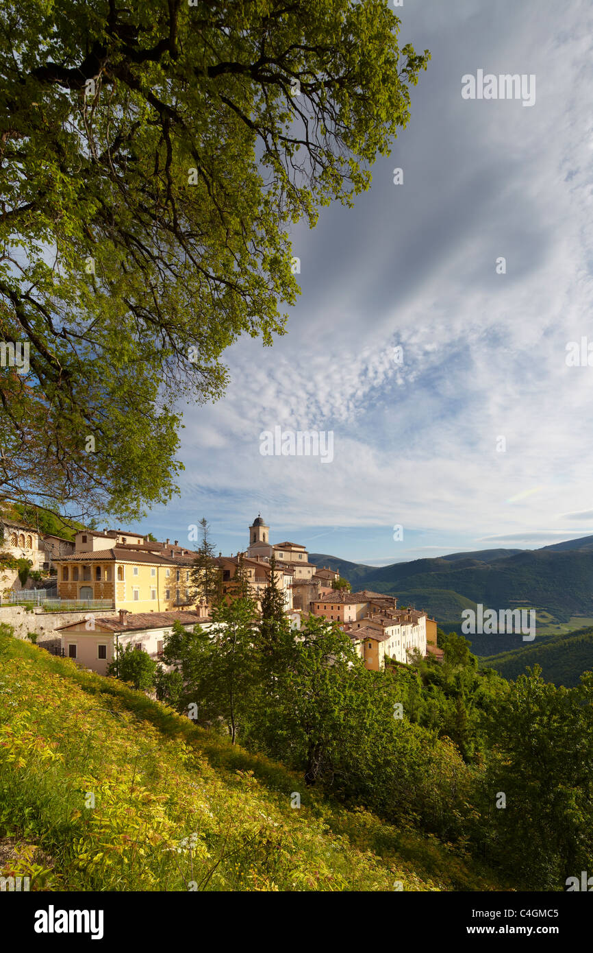 Abetto in Valnerina, Parco Nazionale dei Monti Sibillini, Umbria, Italia Foto Stock