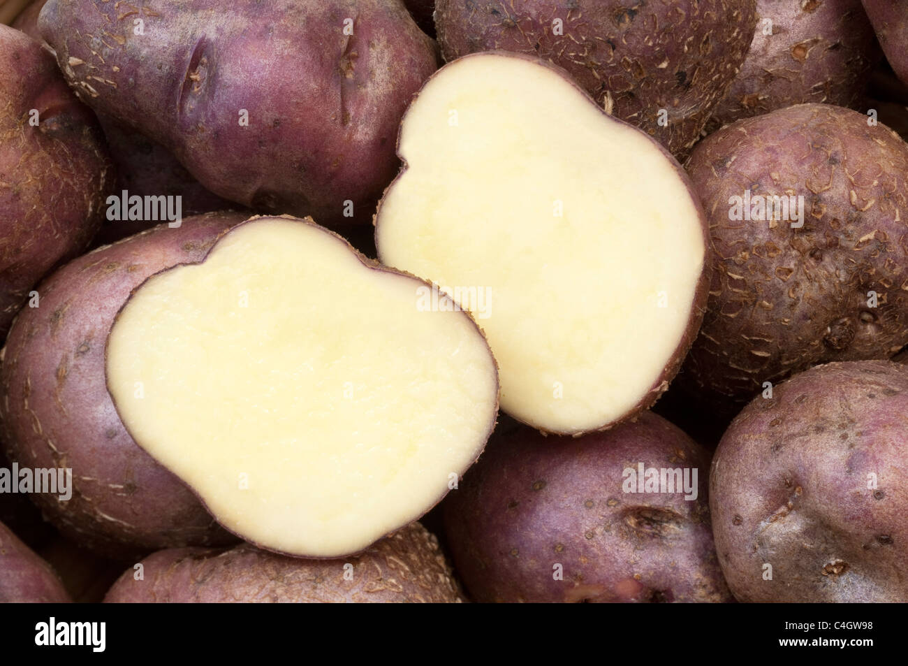 Patata (solanum tuberosum Skerry blu), close-up di tuberi, uno di loro dimezzato. Foto Stock