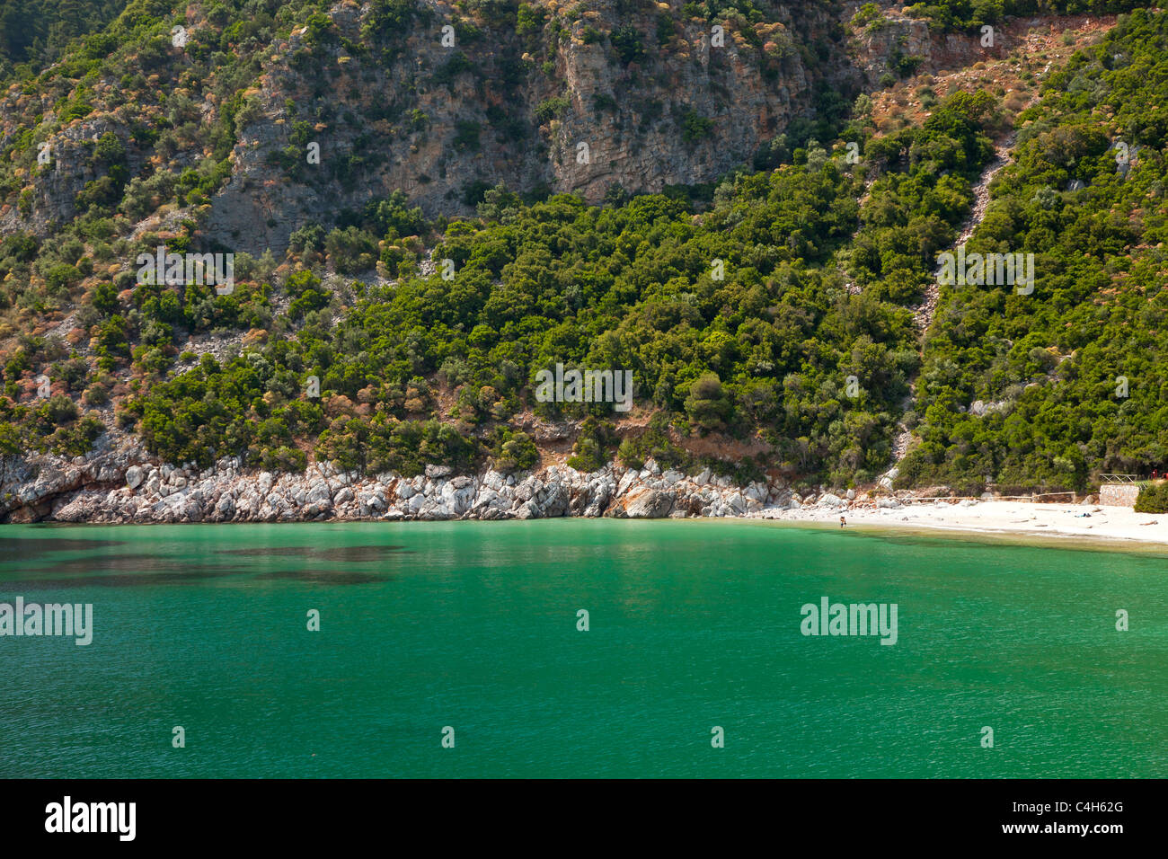 Limnonari Beach e sulla baia di Skopelos Island, Sporadi settentrionali, Grecia Foto Stock