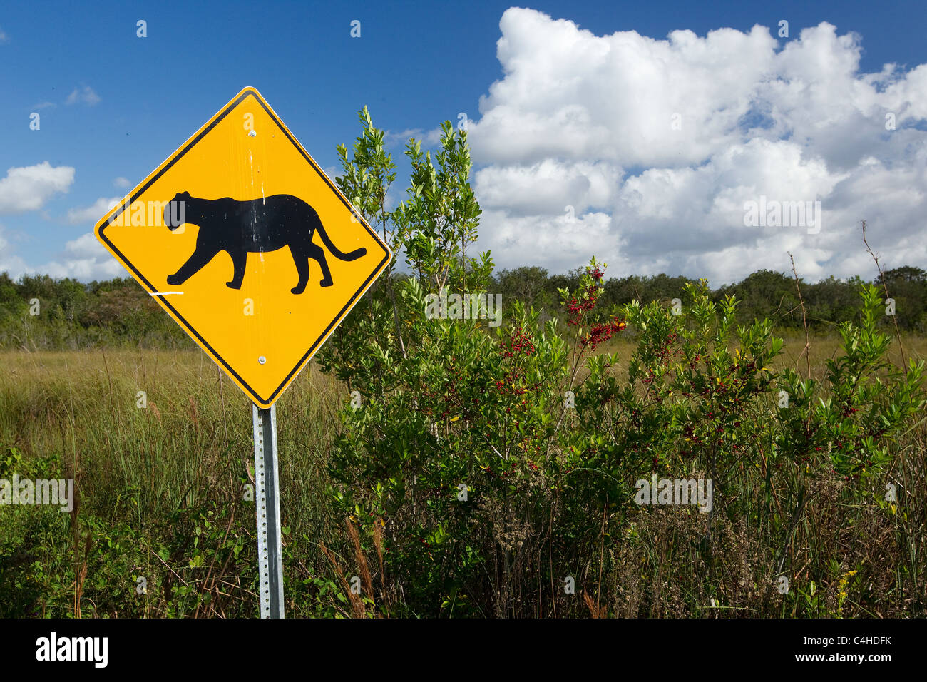 Florida panther crossing segno, Everglades National Park, Everglades, sud della Florida, Stati Uniti d'America Foto Stock