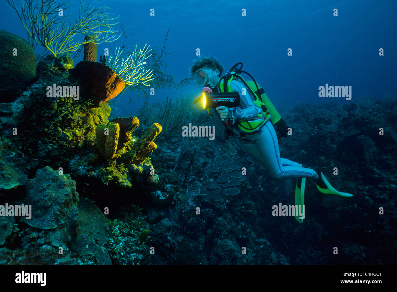 Scuba Diver a spugne, scogliera corallina caraibica, Cuba, Mar dei Caraibi Foto Stock