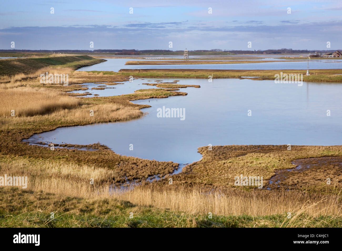 La riserva naturale Schouwen-Duiveland, Zeeland, Paesi Bassi Foto Stock