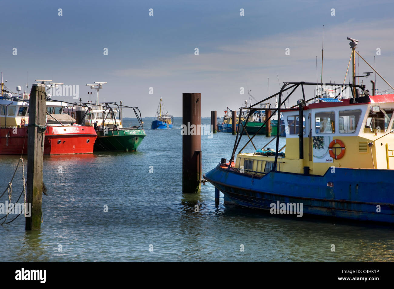 Barche da pesca a Yerseke Harbour, Zeeland, Paesi Bassi Foto Stock