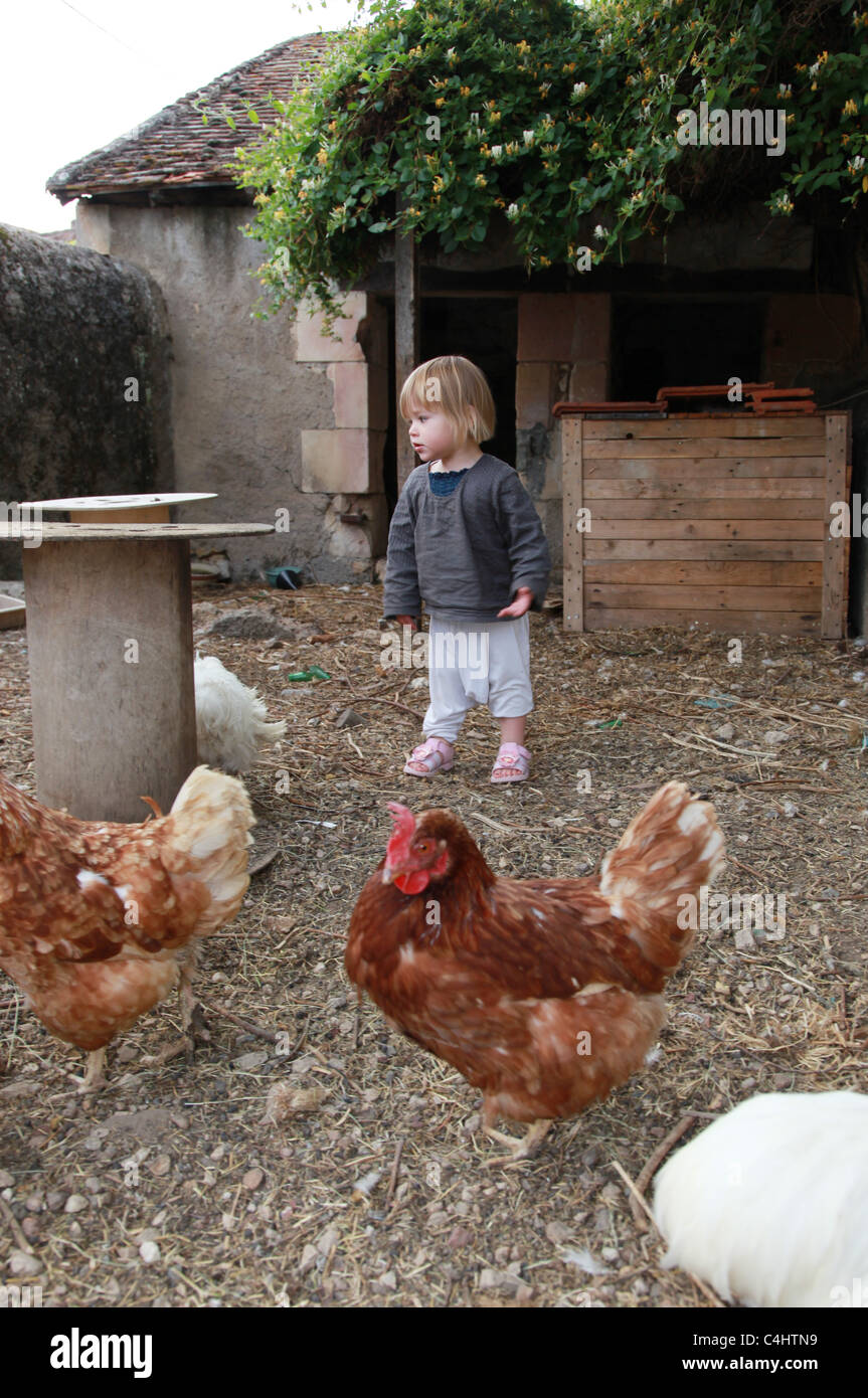 Il Toddler raccogliere uova di galline. Foto Stock