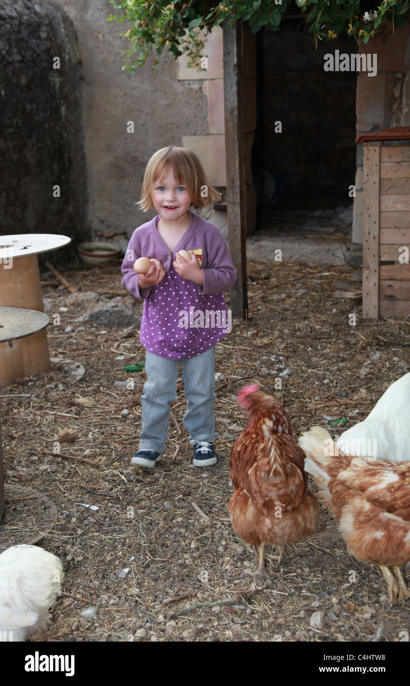 Il Toddler raccogliere uova di galline. Foto Stock