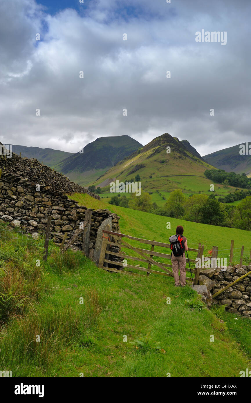 Ambito di applicazione si solleva dal Newlands Valley con Hindscarth dietro. Foto Stock