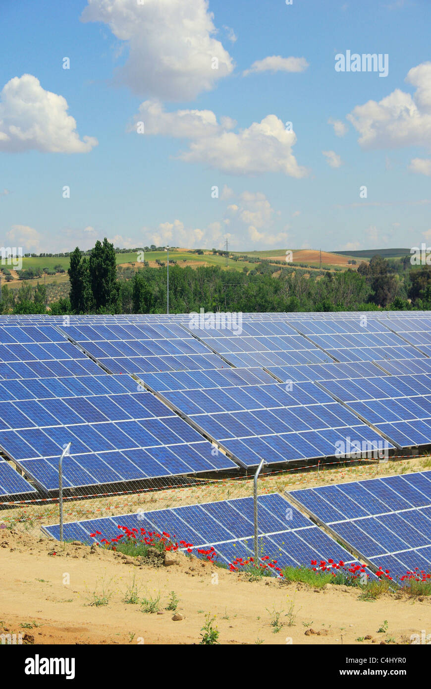 Solaranlage auf Feld - impianto solare sul campo 02 Foto Stock