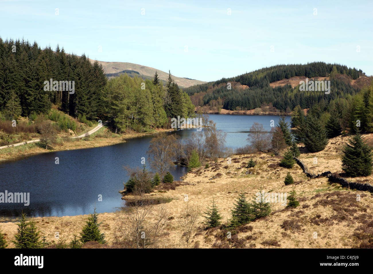 Loch Drunkie nel Queen Elizabeth Forest Park vicino Aberfoyle nel Trossachs Foto Stock