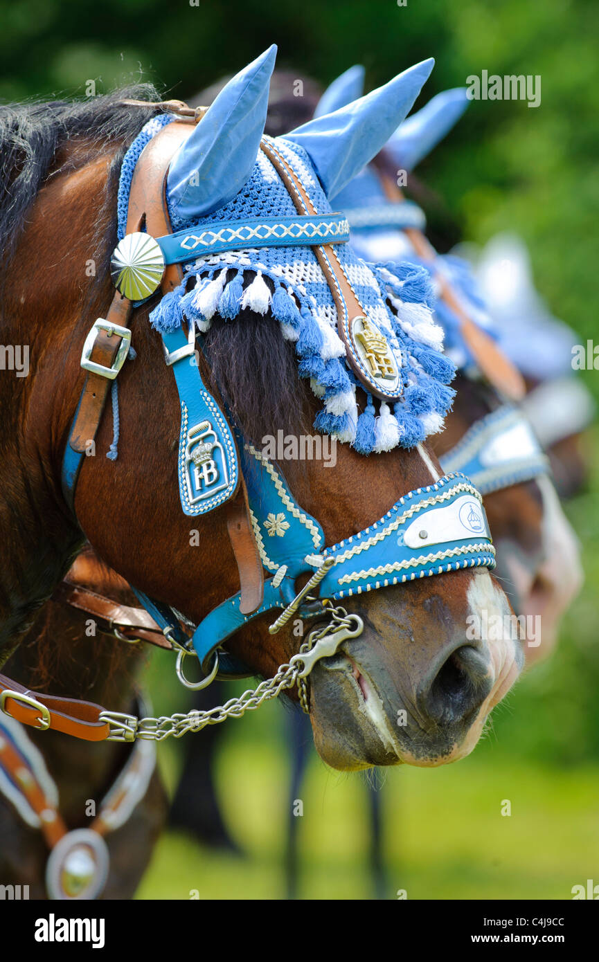 Decorate testa di cavallo in Baviera, Germania Foto Stock