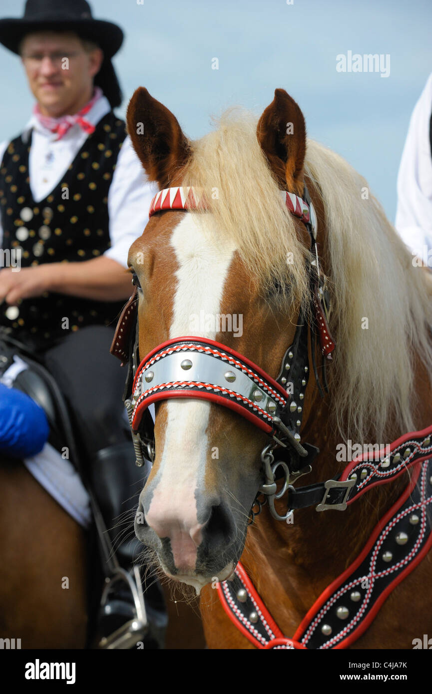 Famoso annuale processione cattolica con 900 cavalli in Bad Koetzting in Germania Foto Stock