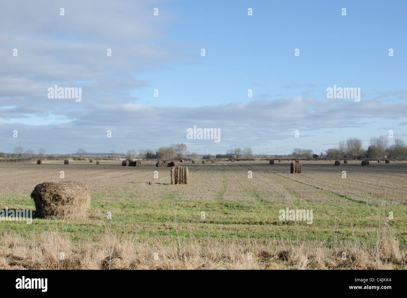 Balle di fieno in un campo vicino a Nafferton, East Riding of Yorkshire, con turbine eoliche a Lissett nella distanza Foto Stock