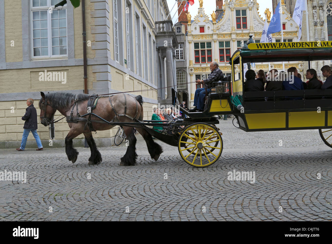 Un dray Cavallo traina una grande tram attraverso le strade di Bruges, Belgio. Foto Stock