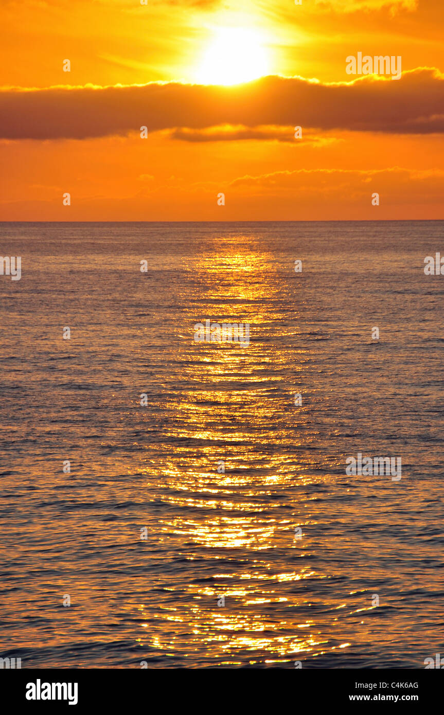 Tramonto sul mare, MS Eurodam nave da crociera, Mare del Nord, Nord Europa Foto Stock