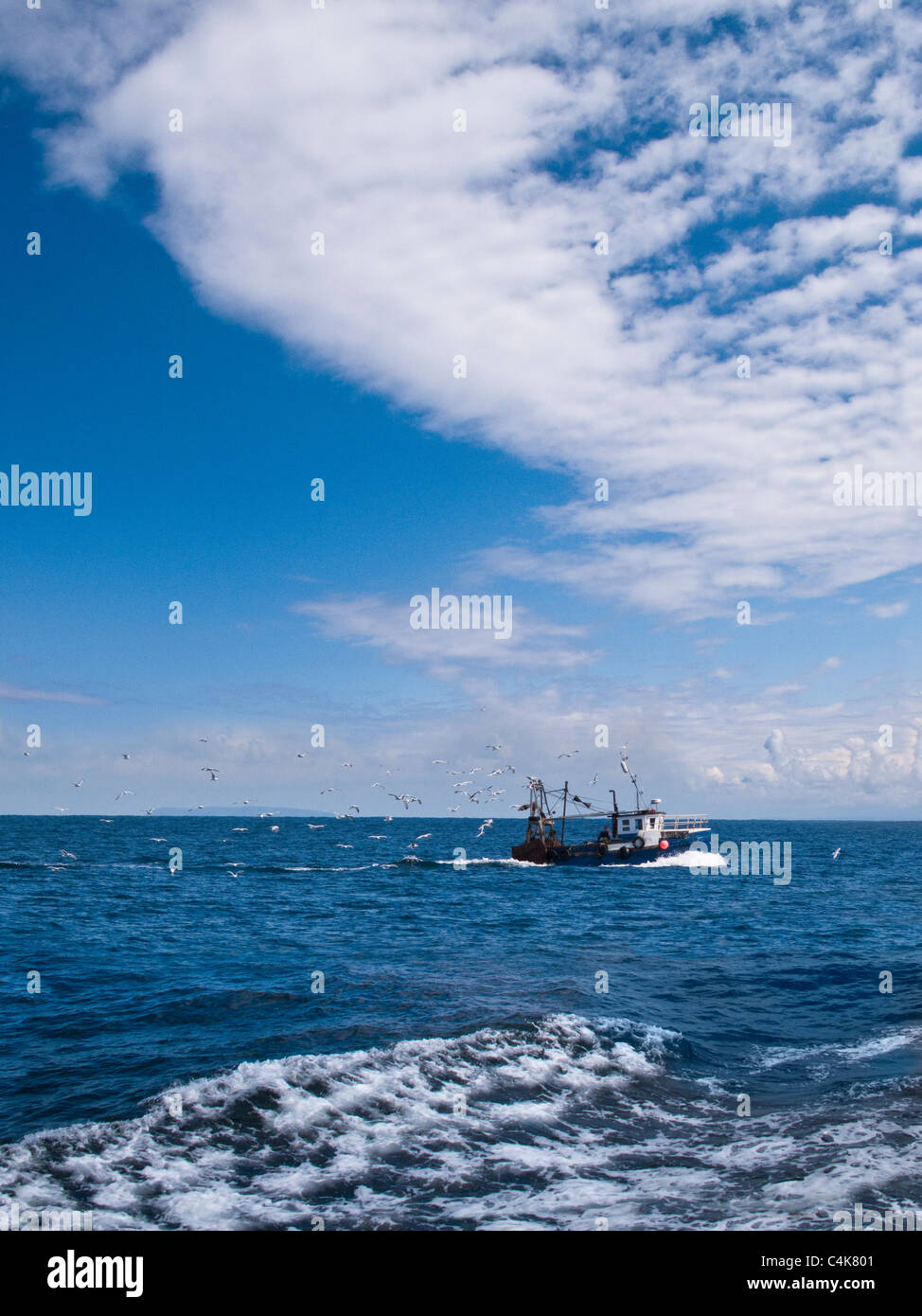 Una barca da pesca essendo seguito da gabbiani al largo della costa del North Devon, Regno Unito Foto Stock