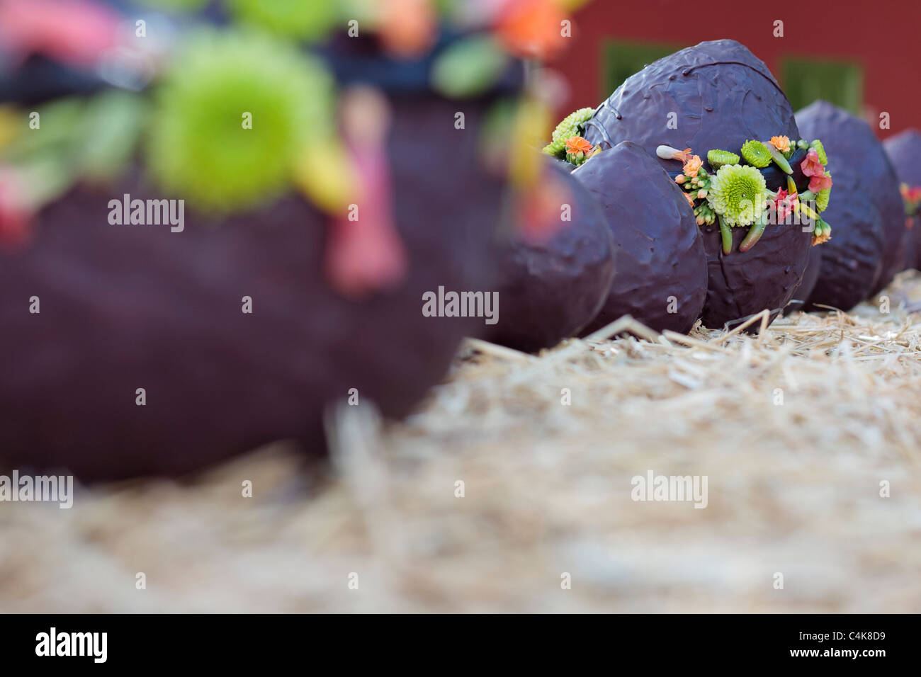 Abstract organica sistemazione floreale con le uova di pasqua come parte di una celebrazione di Pasqua a Guia de Isora Tenerife Isole Canarie Foto Stock