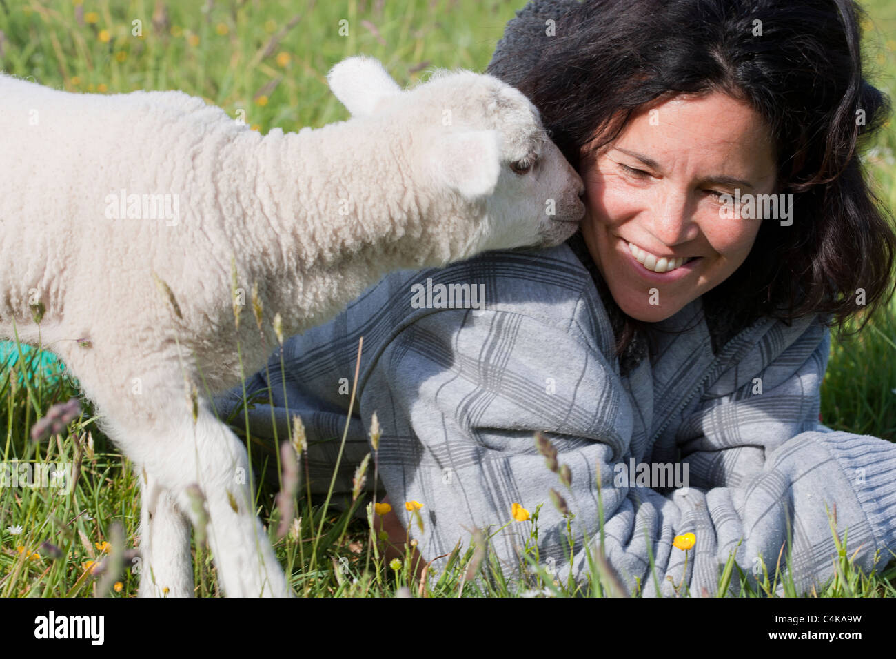 Donna cura per un agnello abbandonato Foto Stock