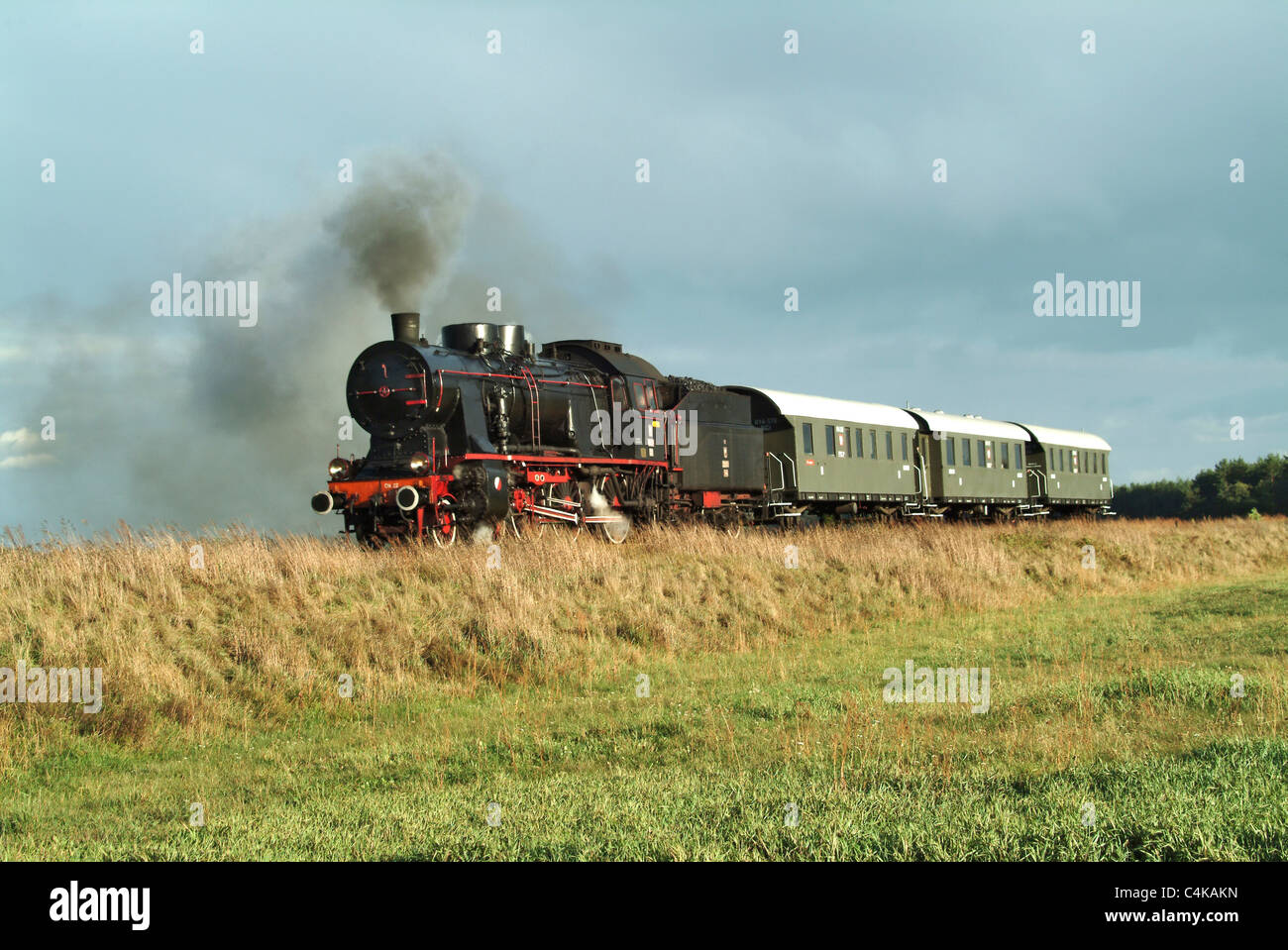 Immagine di panorama di vapore loco e carrelli in Polonia un sacco di dettagli, fumo e vapore. Prese in loco su di una banca in una posizione elevata Foto Stock