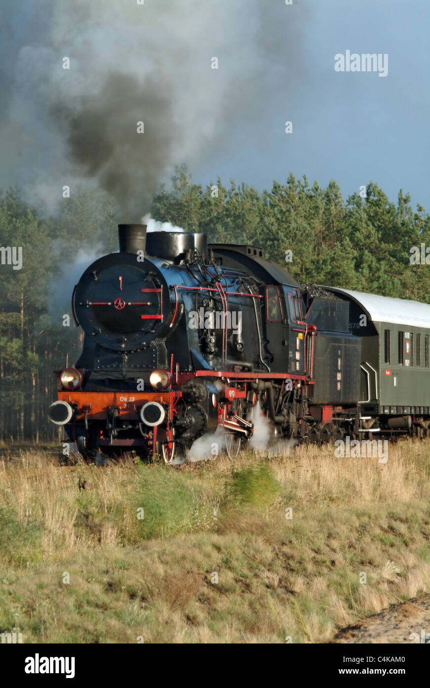 Immagine ritratto di vapore loco e carrelli in Polonia un sacco di fumo e vapore Foto Stock