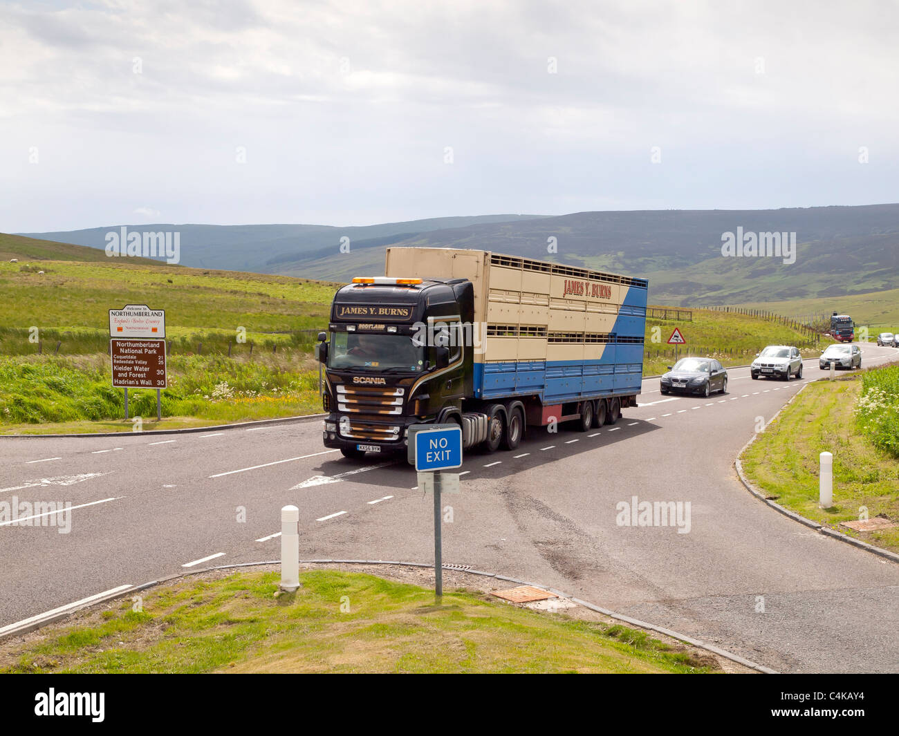 Un camion che trasportano animali da fattoria capi una coda di traffico al carter Bar sul confine tra Inghilterra e Scozia Foto Stock