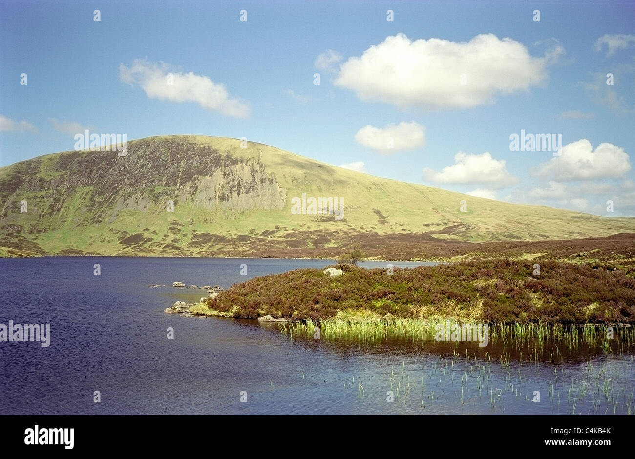 Loch Skeen o Skene con testa Lochcraig Mountain, Dumfries and Galloway, Scotland, Regno Unito. Preso in primavera Foto Stock