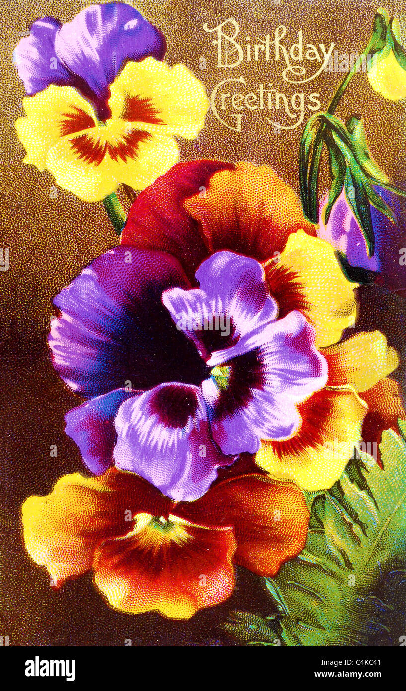 1900s Vintage Gli Auguri Di Buon Compleanno Cartolina Con Pansies Foto Stock Alamy