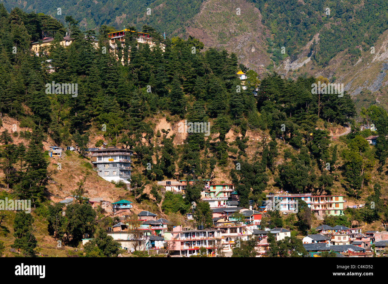 McLeod Ganj, Superiore Dharamsala, Himachal Pradesh, India, Asia Foto Stock