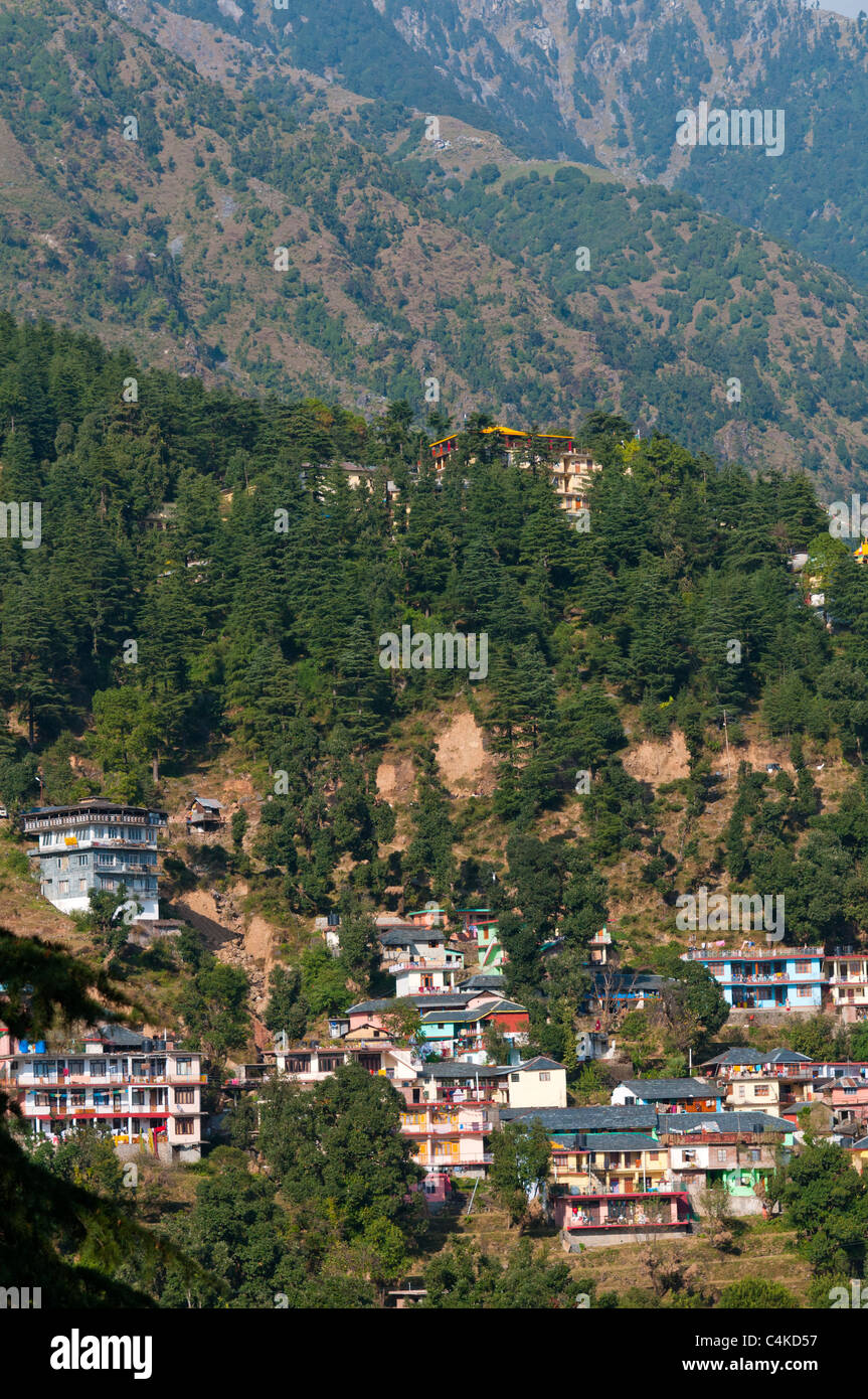 McLeod Ganj, Superiore Dharamsala, Himachal Pradesh, India, Asia Foto Stock