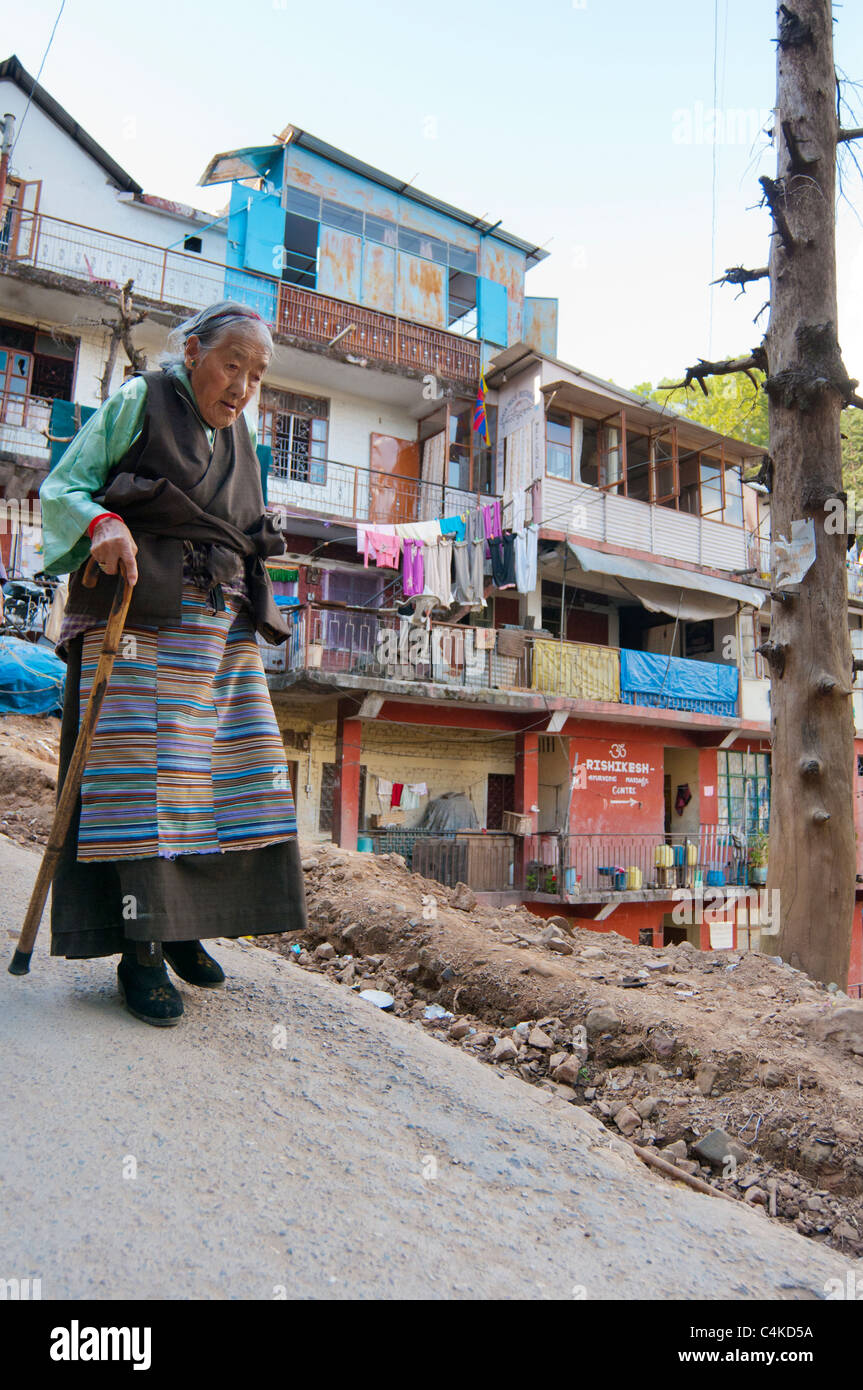 McLeod Ganj, Superiore Dharamsala, Himachal Pradesh, India, Asia Foto Stock