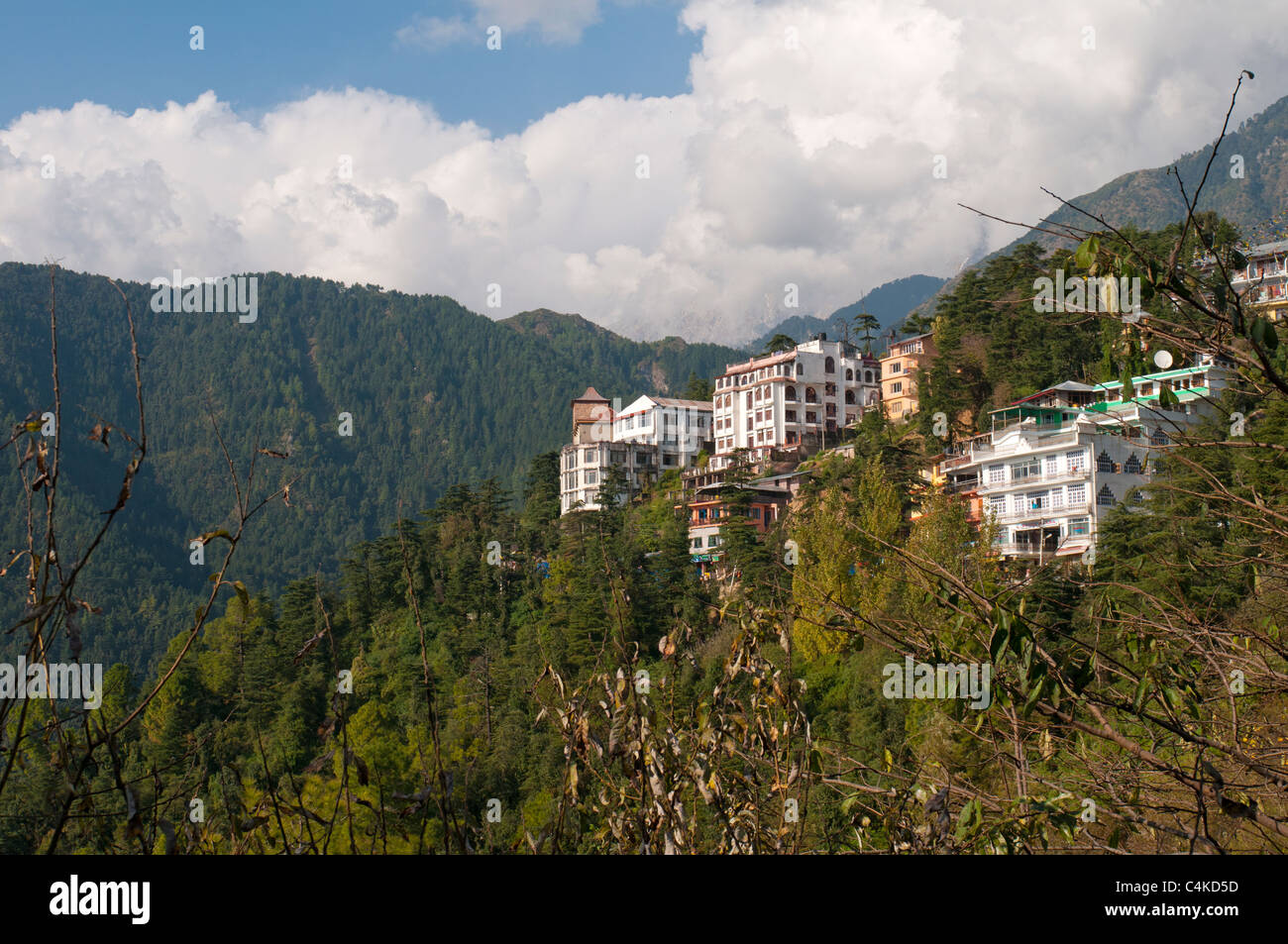 McLeod Ganj, Superiore Dharamsala, Himachal Pradesh, India, Asia Foto Stock