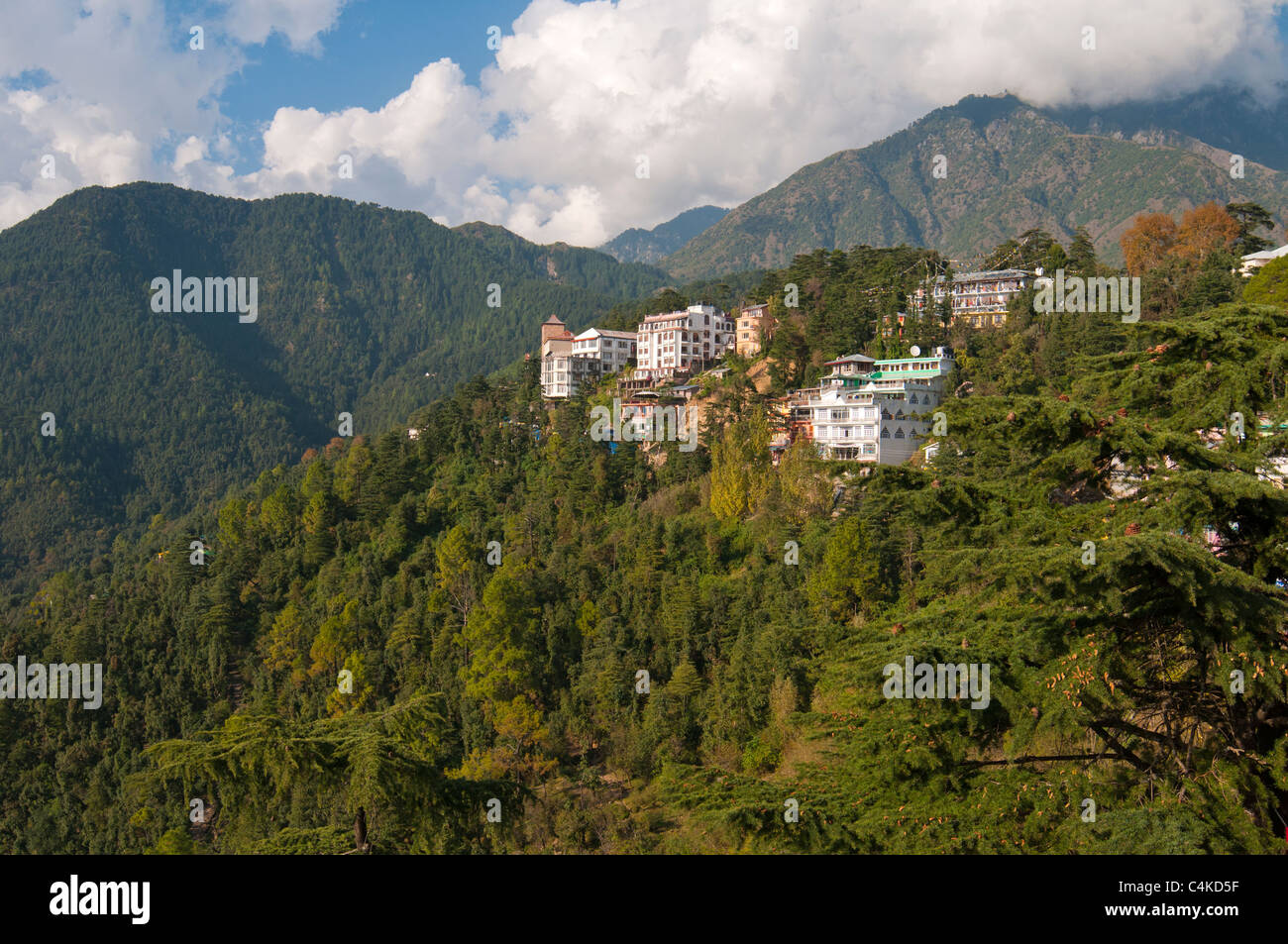 McLeod Ganj, Superiore Dharamsala, Himachal Pradesh, India, Asia Foto Stock