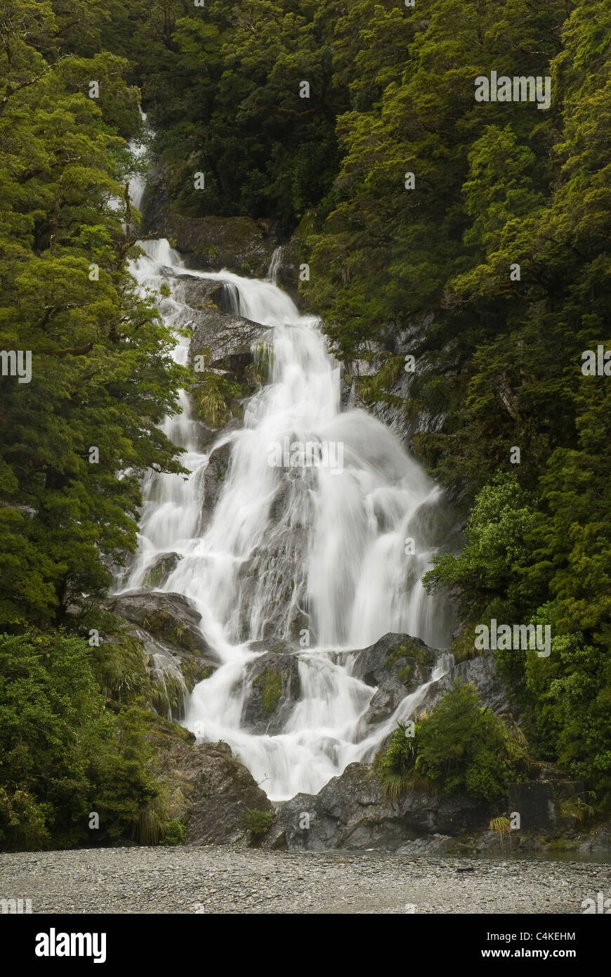 Il fiocco scende, Mt Aspiring National Park, Sud del Haast Pass, Isola del Sud, Nuova Zelanda Foto Stock