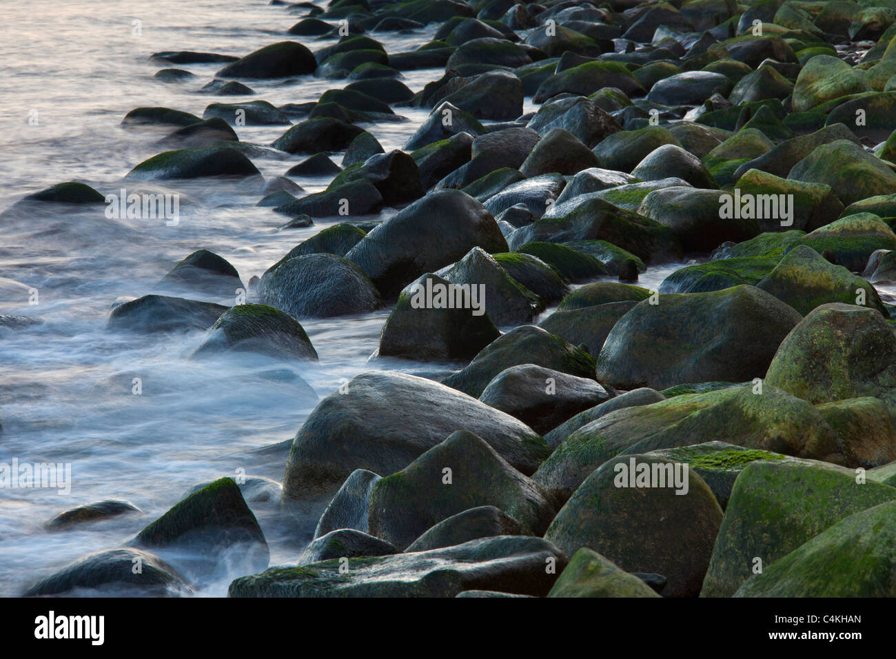 Rocce ricoperte di alghe sulla spiaggia di surf a bassa marea, Germania Foto Stock