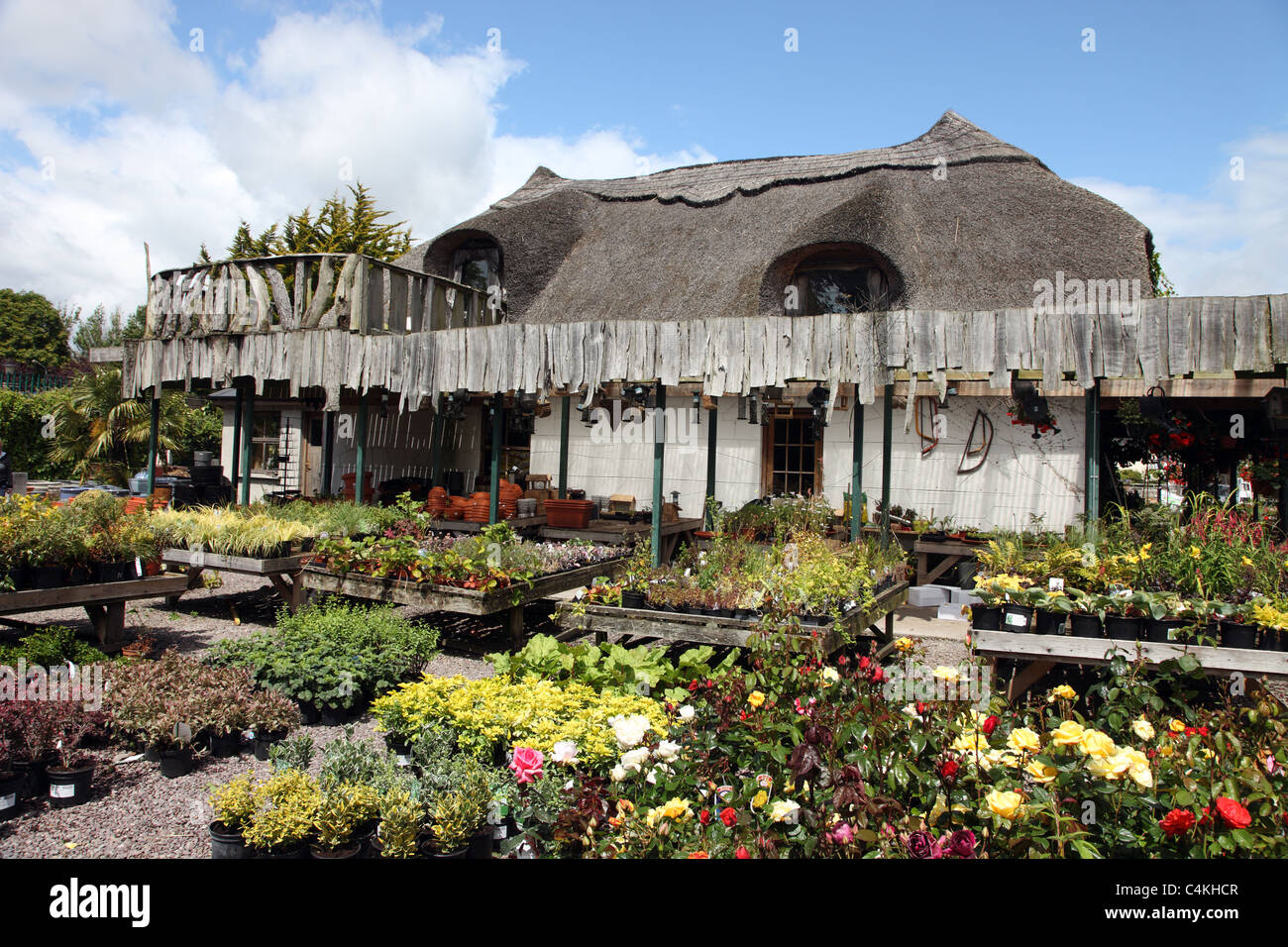 Scandicci centro giardino, West Cork, Irlanda Foto Stock
