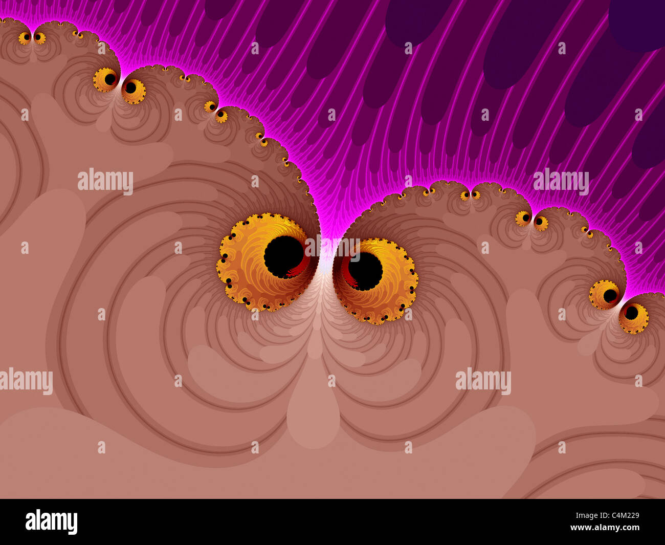 Calcolate generato Artwork somigliante a gufi utilizzando il ChaosPro programma Fractal Foto Stock