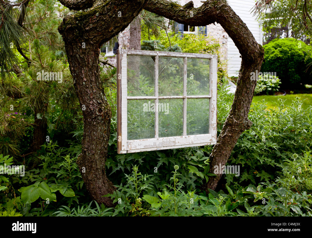 Vecchio bianco sul telaio di una finestra e sospesi tra tronchi di alberi in verde giardino verdeggiante inquadrare la scena Foto Stock
