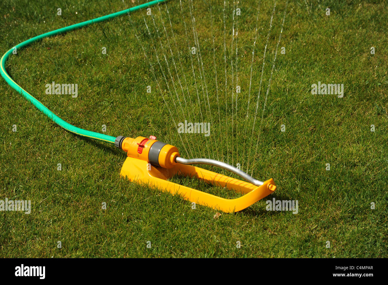 Soffione di erogazione dell'acqua sull'erba del prato di irrigazione Foto Stock