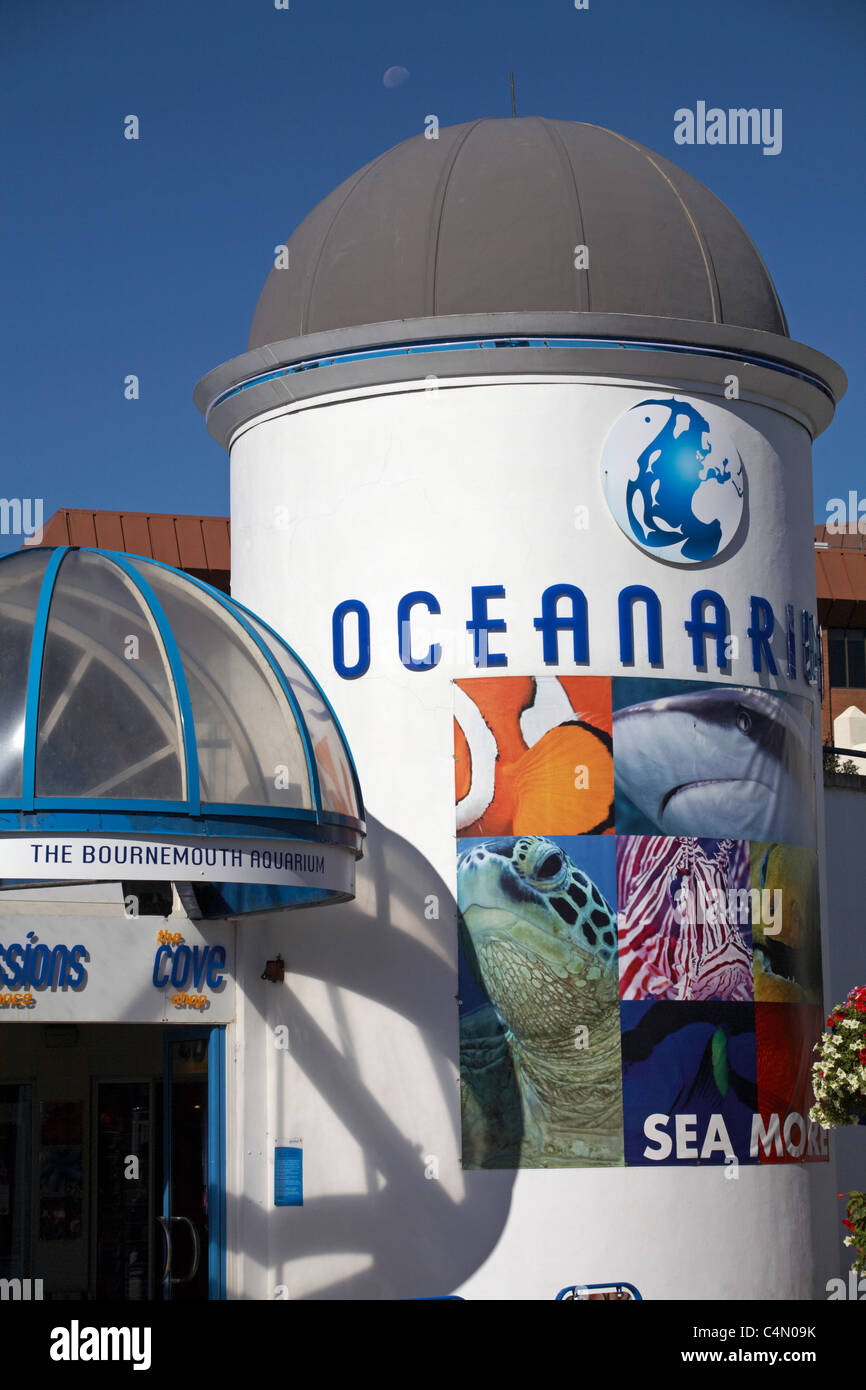 Luna fuori sull'Oceanarium l'acquario di Bournemouth a Pier Approach, Bournemouth, Dorset, Regno Unito nel mese di agosto Foto Stock