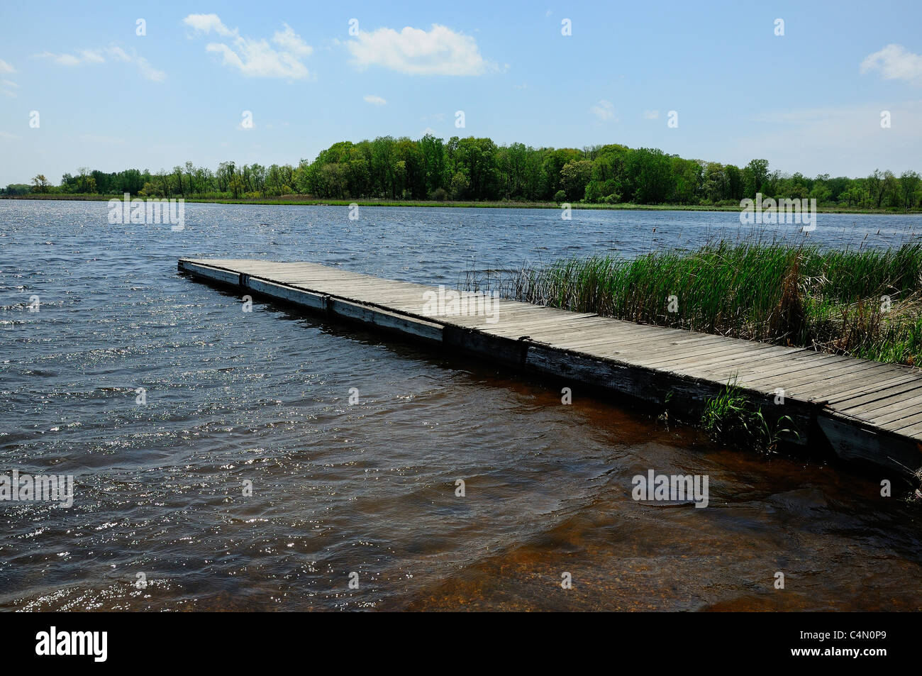 Dock aggettante internamente una torbiera glaciale del lago alla Colli Morenici del Parco Statale di McHenry, Illinois, Stati Uniti d'America. Il lago è chiamato lago di Defiance. Foto Stock