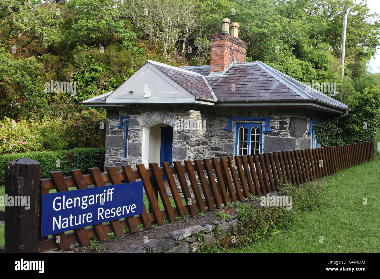 Glengarriff Riserva Naturale, West Cork, Irlanda Foto Stock
