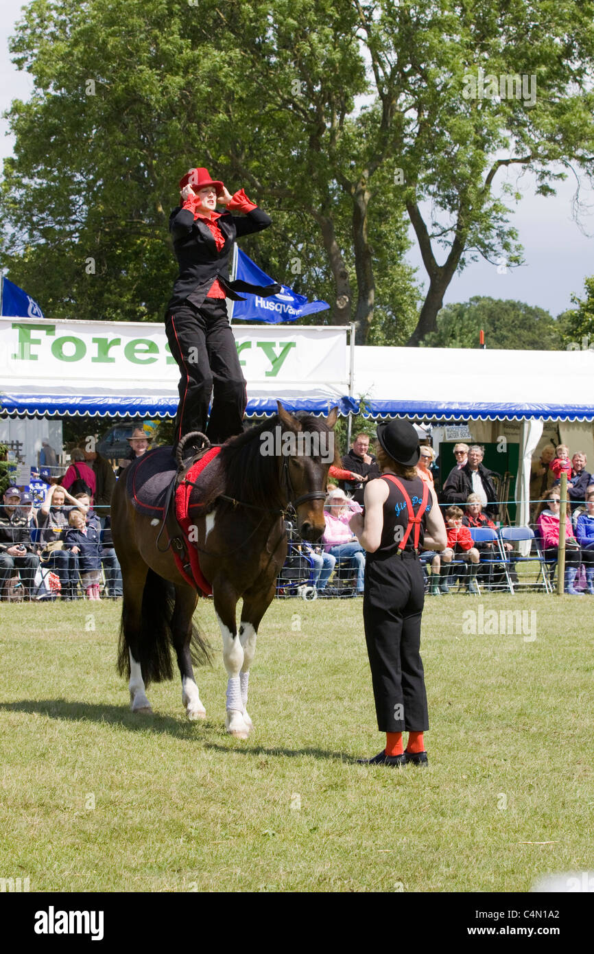 Il Jive Pony altamente addestrati di lavoro libero vaulting cavallo e cavaliere Foto Stock