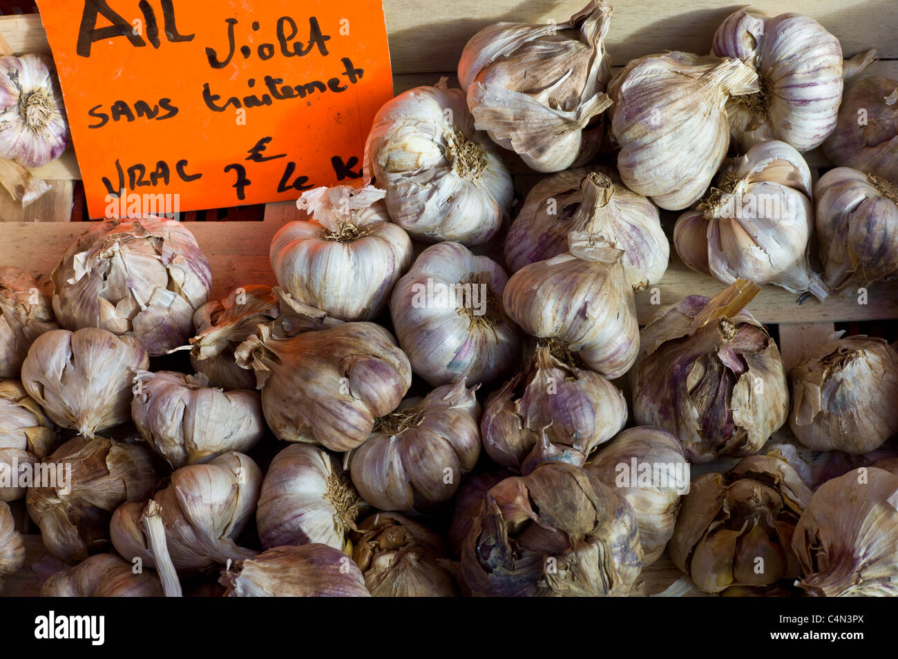 Aglio fresco violetta ail, Allium sativum, al mercato alimentare nella regione di Bordeaux in Francia Foto Stock
